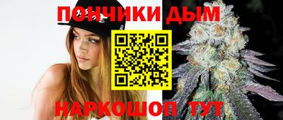 индика Тверь