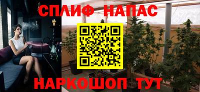 индика Тверь