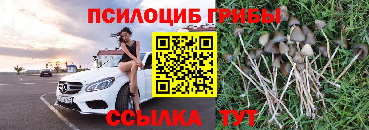 Галлюциногенные грибы MAGIC MUSHROOMS Брянск