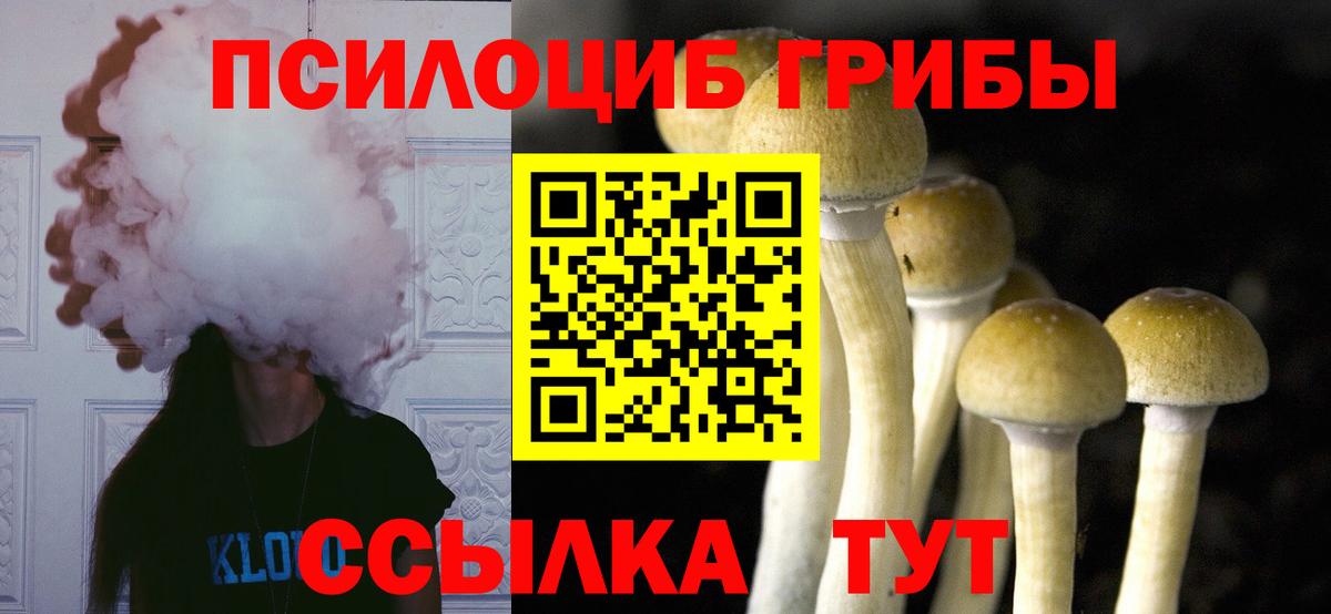 Брянск  Псилоцибиновые грибы мухоморы  Вход с VPN  купить наркотики сайты  Галлюциногенные грибы Magic Shrooms 